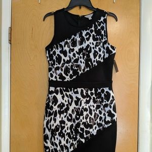 Belle & Sky size medium. New with tags.